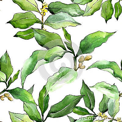 Watercolor elaeagnus green leaves. Leaf plant botanical garden floral foliage. Seamless background pattern. Stock Photo