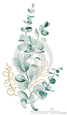 Watercolor eucaliptus leaves bouquet illustration Cartoon Illustration