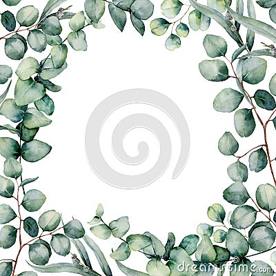 Watercolor eucaliptus leaves frame. Hand painted baby, seeded and silver dollar eucalyptus branch isolated on white Cartoon Illustration