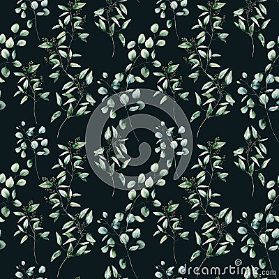 Watercolor eucalyptus seamless pattern on black background. Hand painted isolated silver dollar and seeded eucalyptus Cartoon Illustration