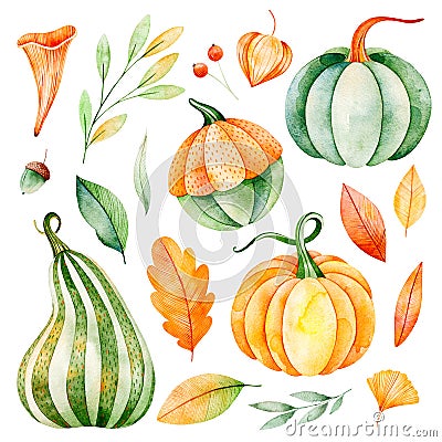 Watercolor fall leaves, branches,pumpkins etc Stock Photo