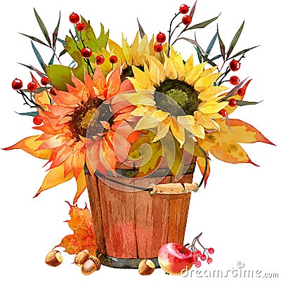 Watercolor Fall Sunflower , rustic clipart. Autumn Harvest Clip Art, Thanksgiving Day art, Stock Photo
