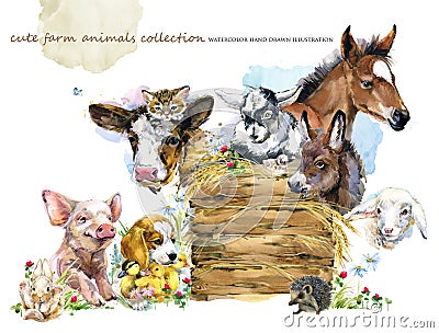 Watercolor farms animal collection. Cute hand drawn illustration of foal, piggy, chicken, dog, duckling, sheep, goat, calf, donkey Cartoon Illustration