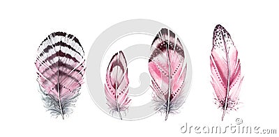 Watercolor feather set. Hand painted four vibrant wings. Boho style illustration isolated on white. Wild bird feathers Cartoon Illustration