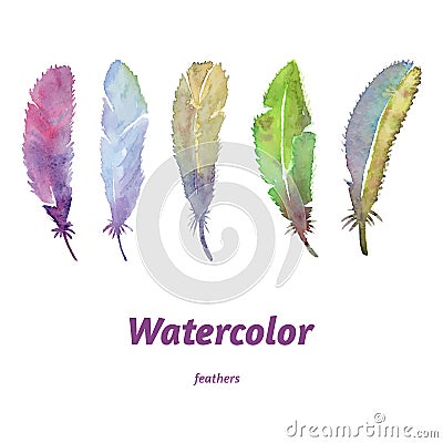 Watercolor feathers, hand drawn, colourful and lovely. Vector Illustration