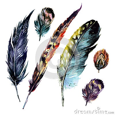 Watercolor Feathers Set Vector Illustration