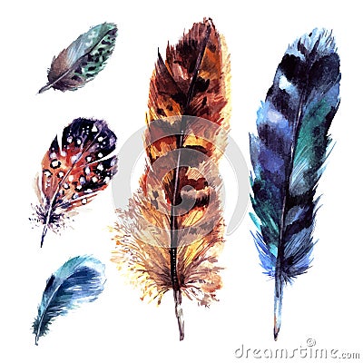 Watercolor Feathers Set Vector Illustration