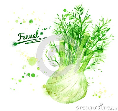 Watercolor fennel Cartoon Illustration