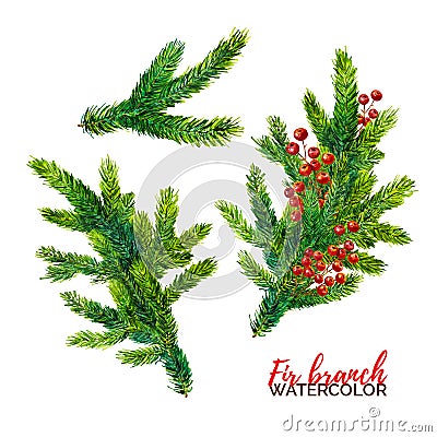 Watercolor fir branches with red berry isolated on white background Cartoon Illustration