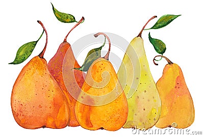 watercolor five pears Cartoon Illustration