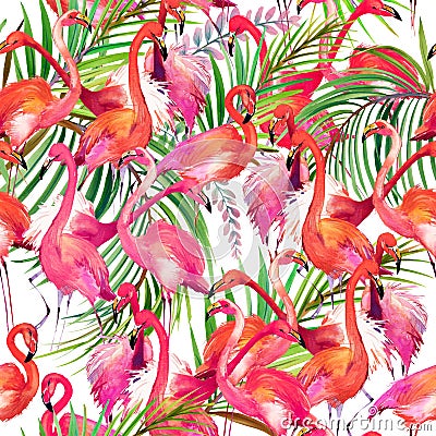 Watercolor Flamingo bird illustration. Stock Photo