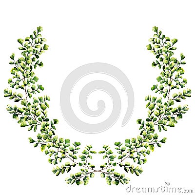 Watercolor floral border with maidenhair fern leaves. Hand painted floral wreath with branches, leaves of fern isolated on white Stock Photo