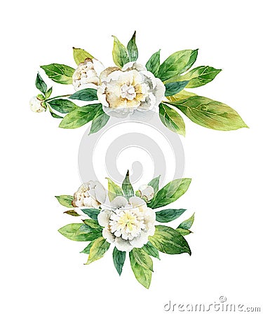 Watercolor floral boutonnieres with white peonies and green leaves Cartoon Illustration