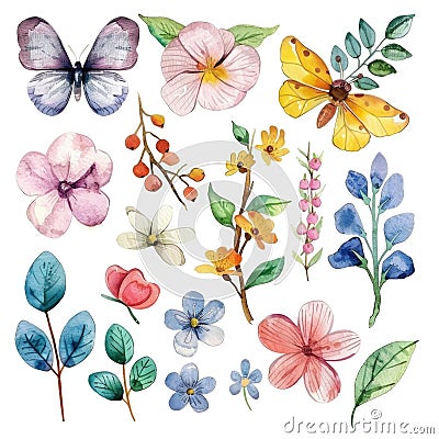 Watercolor Floral and Butterfly Illustrations - Vibrant Botanical Art Stock Photo