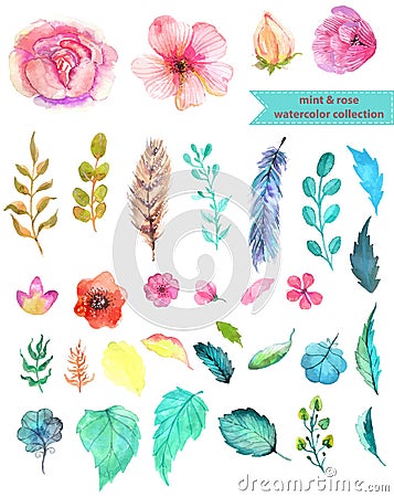 Watercolor floral collection Vector Illustration