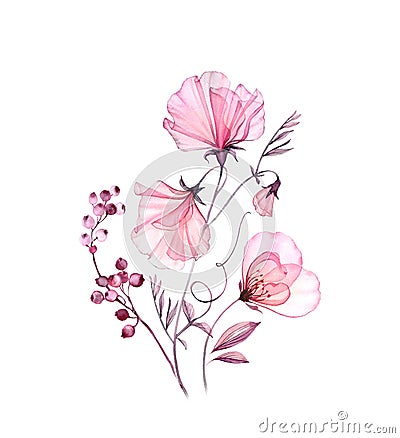 Watercolor floral composition. Transparent sweet pea bouquet with rose and berries. Artwork isolated on white. Botanical Cartoon Illustration