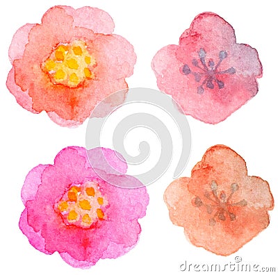 Watercolor floral elements for design Vector Illustration