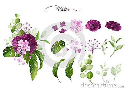 Watercolor floral frame and arrangements elements of purple roses Vector Illustration