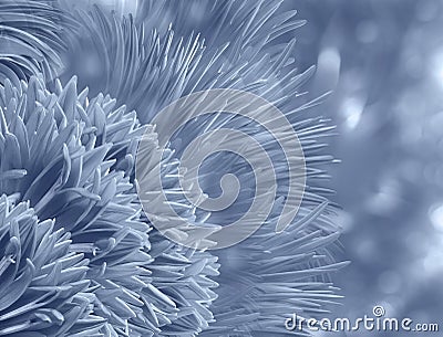 Watercolor floral gray background. Aster flower petals on bokeh gray backdrop. Stock Photo