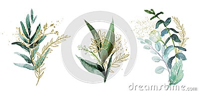 Watercolor floral illustration set - green & gold leaf branches collection, for wedding stationary, greetings, wallpapers, fashion Cartoon Illustration