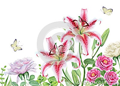 Watercolor floral image with lily, camellia and rose flowers Stock Photo