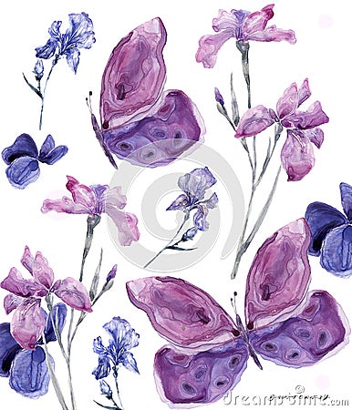 Watercolor floral iris and butterfly on white background 700 dpi Similar illustration leaf geen color Cartoon Illustration