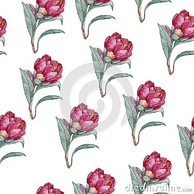 Watercolor floral pattern Cartoon Illustration