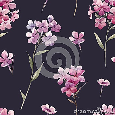 Watercolor floral phlox vector pattern Vector Illustration