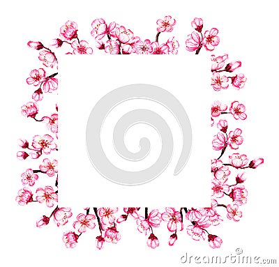 Watercolor floral sakura frame. Spring cherry blossom wreath, isolated on white. Stock Photo