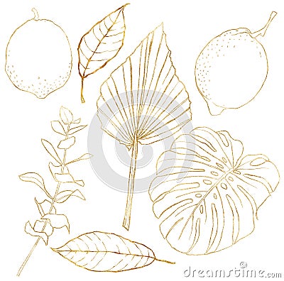 Watercolor floral set of gold palm leaves, eucalyptus branches and lemons. Hand drawn line art plant isolated on white Cartoon Illustration