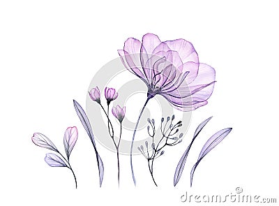 Watercolor floral set in purple. Transparent rose, leaves, branches isolated on white. Botanical abstract collection of Cartoon Illustration