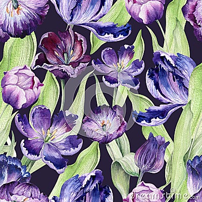 Watercolor floral tulip backgraund. Seamless colorful spring pattern. Watercolour violet tulip plant. Purple blossom Stock Photo