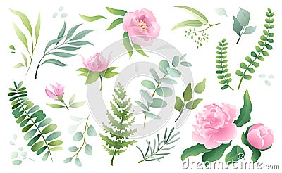 Watercolor flower bouquet, elegant plants, green branch. Wild eucalyptus and fern, floral leaf, spring green botanic Vector Illustration