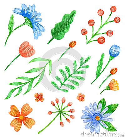 Watercolor flower clipart. Summer garden botanical blossom chamomile. Spring illustration bouquet bloom element daisy Cartoon Illustration