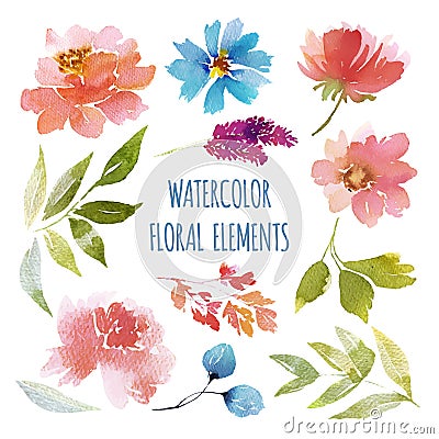 Watercolor Flower collection Vector Illustration