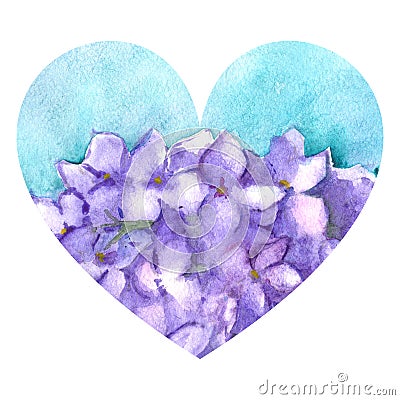 Watercolor flower floral hydrangea lilac nature heart love illustration isolated Cartoon Illustration