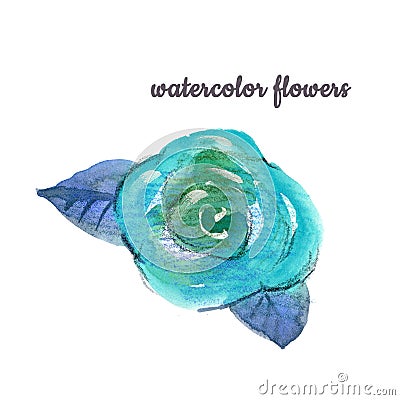 Watercolor Flower hand-painted isolated bud Rose and two leafs on a white Background. Isolated rose for wedding and Stock Photo