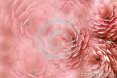 Watercolor flowers on blurry red background . Red flowers chrysanthemum. floral collage. Flower composition. Stock Photo