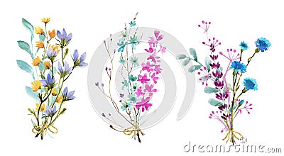 Watercolor flowers isolated on white background, drawn in handcrafted. .spring bouquet Stock Photo