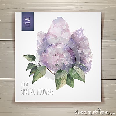 Watercolor flowers. Lilac Vector Illustration