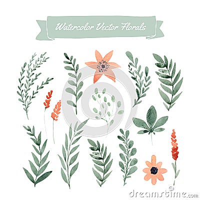 Watercolor flowers Vector Illustration