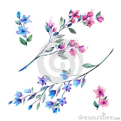 Watercolor flowers sprigs. Stock Photo