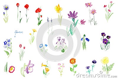 Watercolor flowers tender set Stock Photo