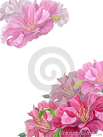 Watercolor flowers on a white background. Peonies. Use printed materials, signs, objects, websites, maps. Blank cards with decorat Stock Photo