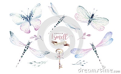 Watercolor fly dragonfly spring wings illustration summer insect collection of bees and wreath dragonflies Cartoon Illustration