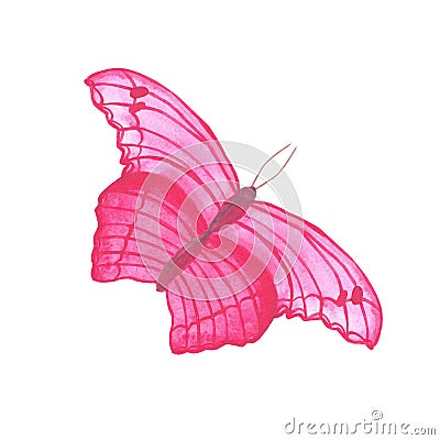 Watercolor flying pink butterfly insect summer tropical exotic Stock Photo