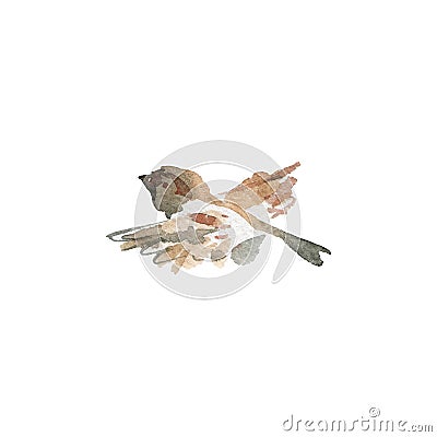 Watercolor flying sparrow Cartoon Illustration