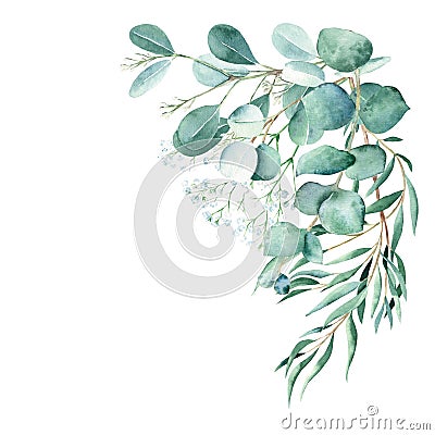Watercolor foliage bouquet, corner. Eucalyptus and gypsophila branches. True blue, willow, silver dollar, seeded. Hand Cartoon Illustration