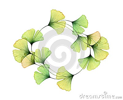 Watercolor foliage wreath. Ginkgo tree branches. Floral banner of circular green leaves and place for text. Realistic Cartoon Illustration