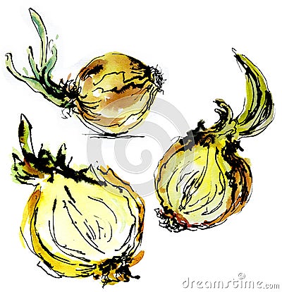 Watercolor Food Clipart. Watercolor set of vegetables. Isolated hand drawn onions. Stock Photo